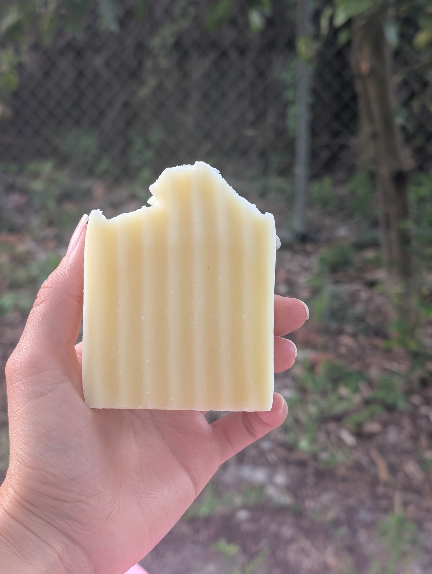 Tallow Bar Soap