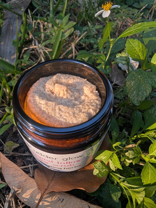 Whipped Tallow Sugar Scrub